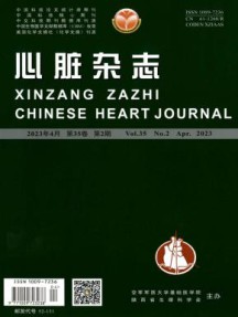 心脏杂志